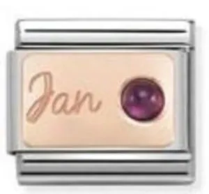 Classic S. Steel & 9ct Rose gold January Garnet