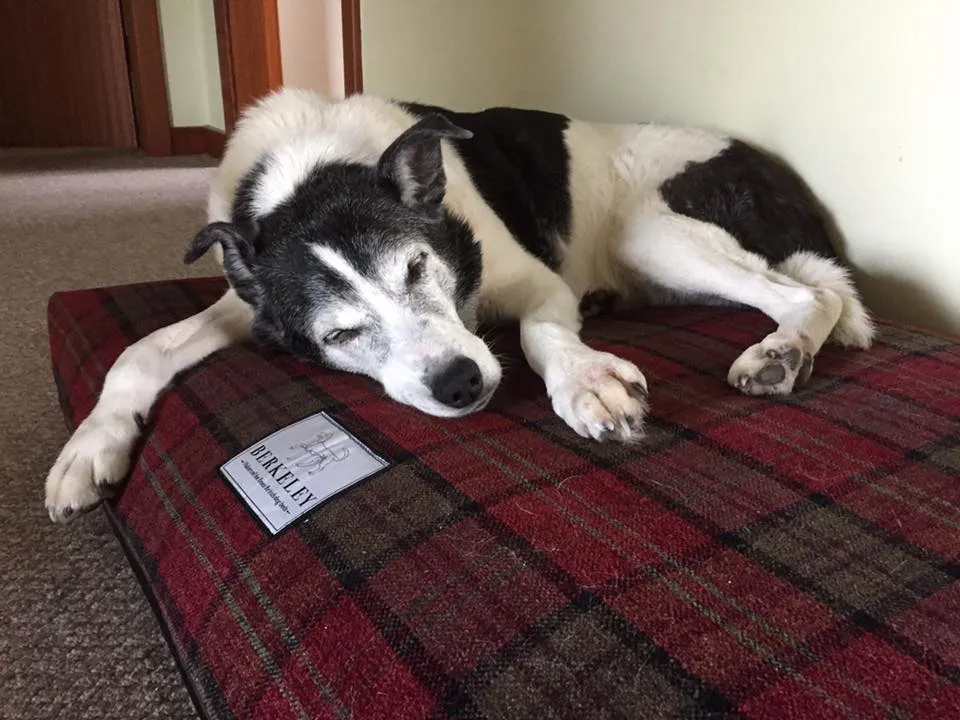 Luxury Tartan Dog Bed Covers