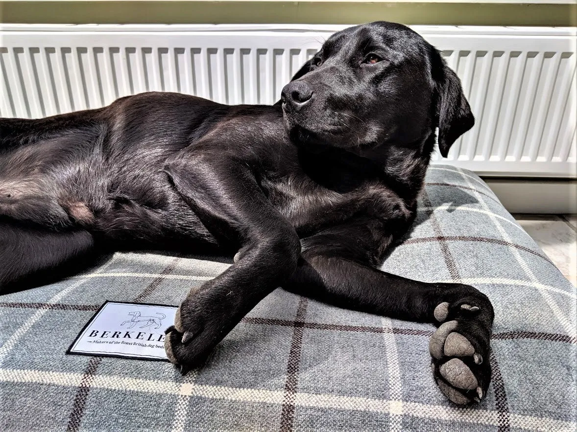 Luxury Tartan Dog Bed Covers